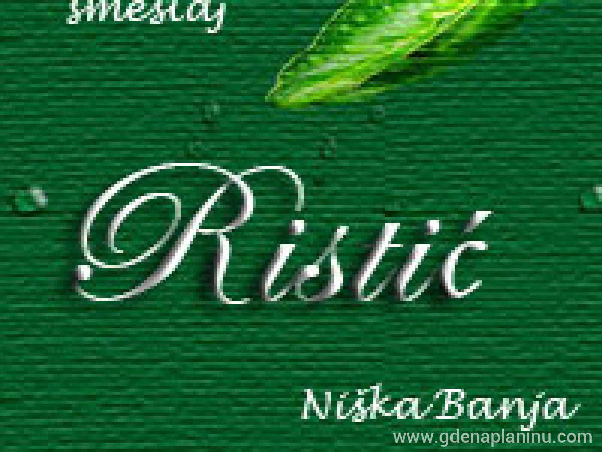 Smeštaj , zasebne nastanitve v mestu Niška Banja, Serbia - logo