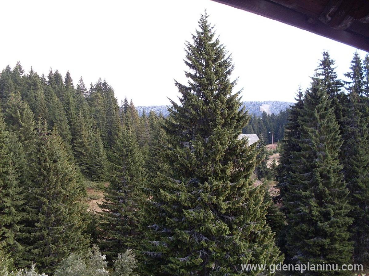 Apartman 212 , Magán szállás a községben Kopaonik, Szerbia - 67