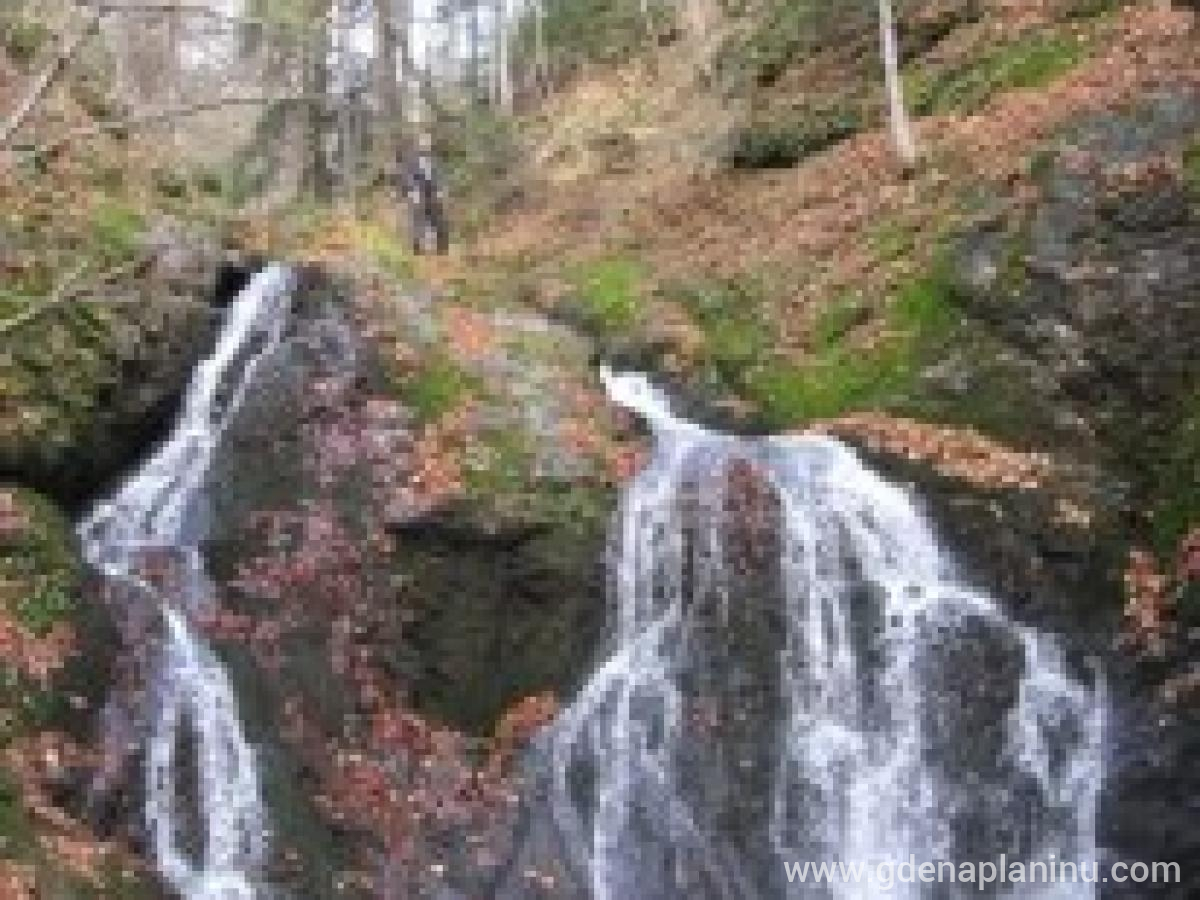 Domaćinstvo Šekler na Goliji, Magán szállás a községben Golija, Serbia - Vodopadi reke Izubre