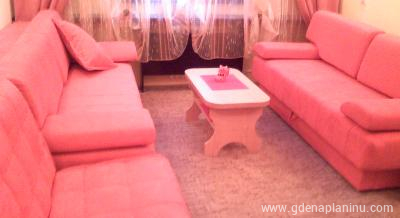 Hotel Olga Dedijer, Privatunterkunft im Ort Kopaonik, Serbia