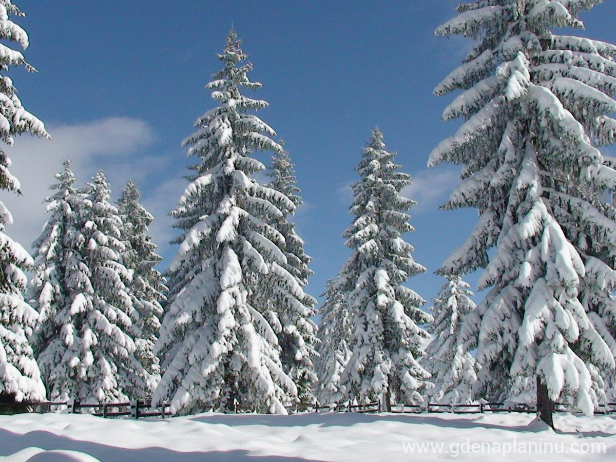 KRINICA, alojamiento privado en Zlatar, Serbia - 4POGLED SA TERASE