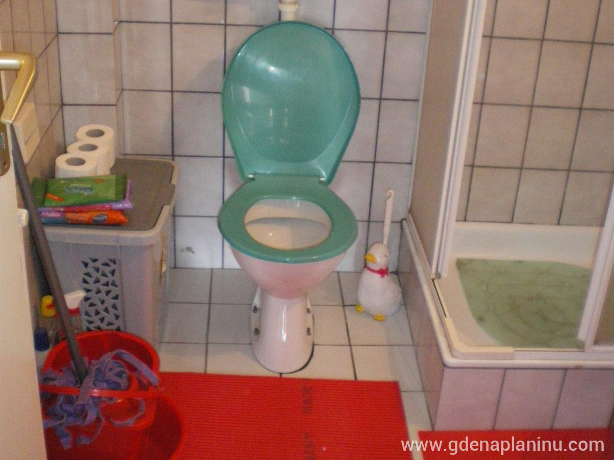 Vuk- vilidz, Privatunterkunft im Ort Zlatibor, Serbia - Kupatilo