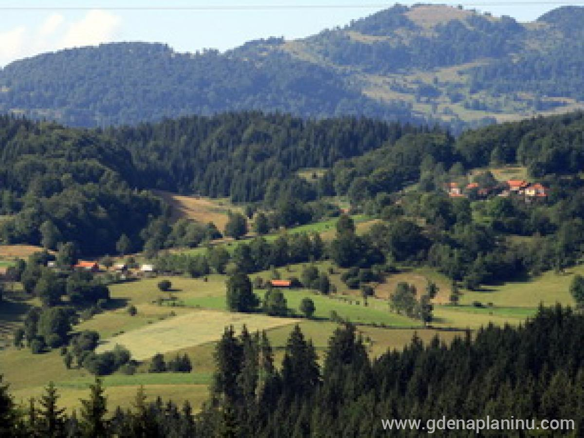 Konačiste, Частный сектор жилья Golija, Serbia - RADOCELO