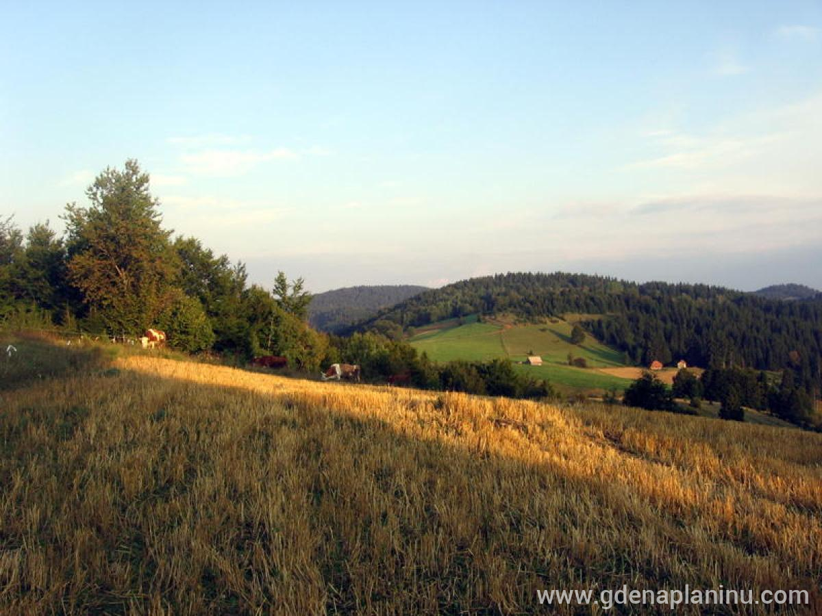 Konačiste, Частный сектор жилья Golija, Serbia - OKOLINA