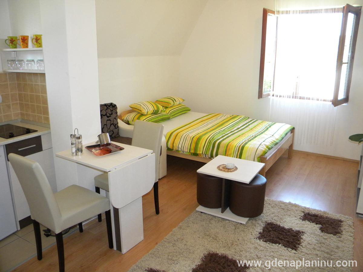 Apartmani Nešović, Magán szállás a községben Tara, Serbia - Studio apartman 2