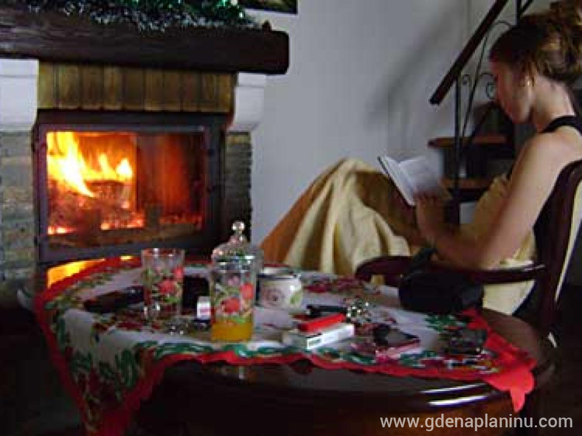 Ranč'' Platan'' Fruška Gora, privat innkvartering i sted Fruška Gora, Serbia - Kamin soba