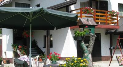 Mira, privatni smeštaj u mestu Zlatibor, Srbija