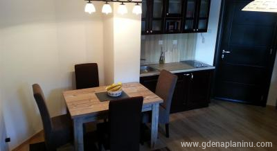 Apartman Promenada, private accommodation in city Kopaonik, Serbia