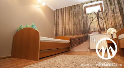 Apartman Vila Bjanka, strogi centar Kopaonika , частни квартири в града Kopaonik, Serbia