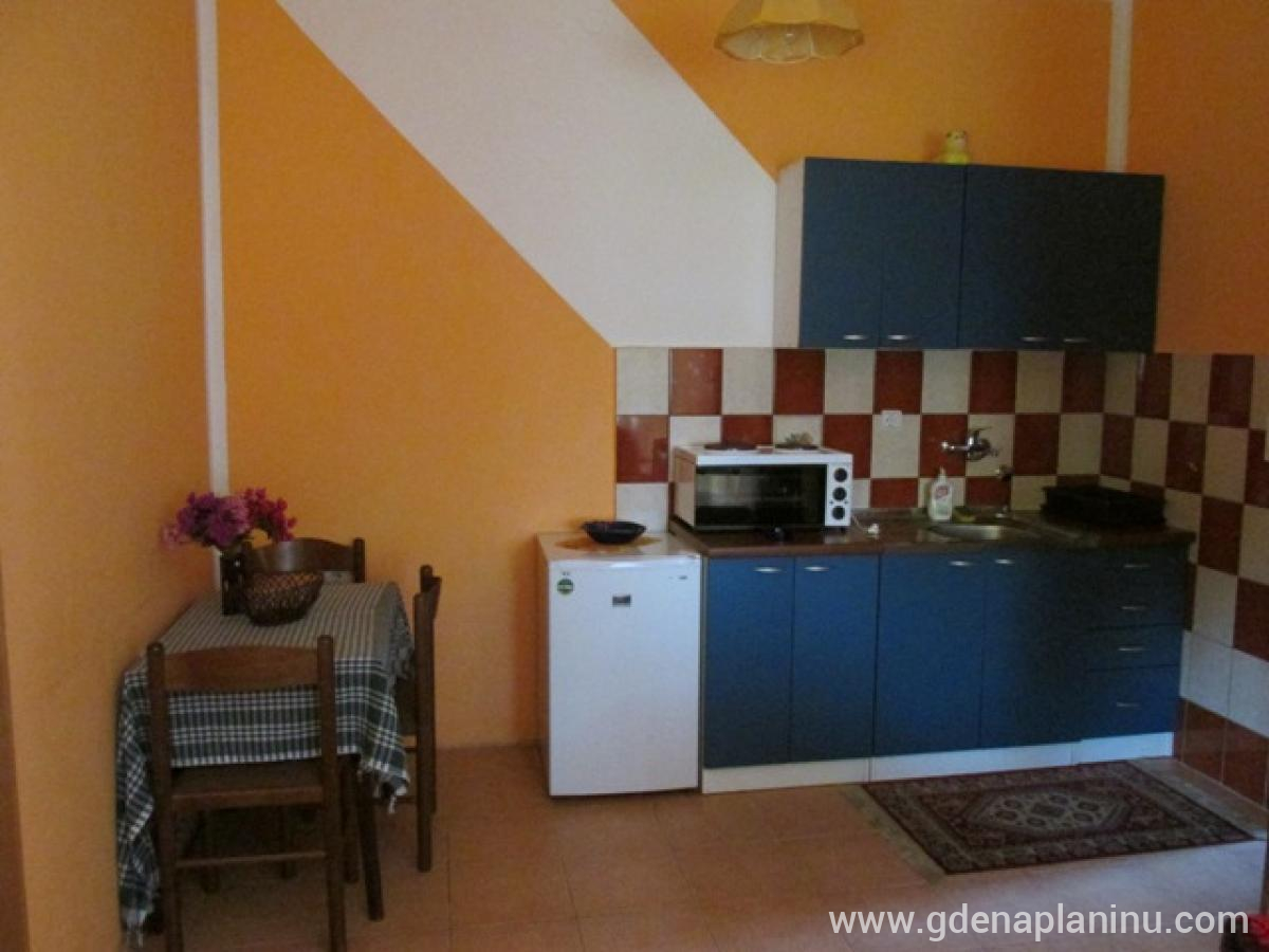 Dom za odmor Knezevic, частни квартири в града Zlatibor, Serbia - apartman 1