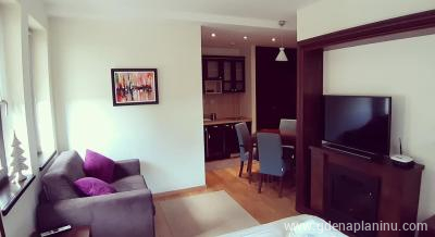 Vila Mećava - Apartman "Jela", Magán szállás a községben Kopaonik, Serbia