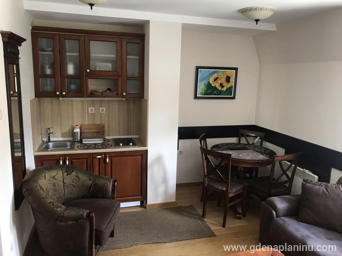 Vila Mećava - Apartman , ενοικιαζόμενα δωμάτια στο μέρος Kopaonik, Σερβία - unnamed (5)