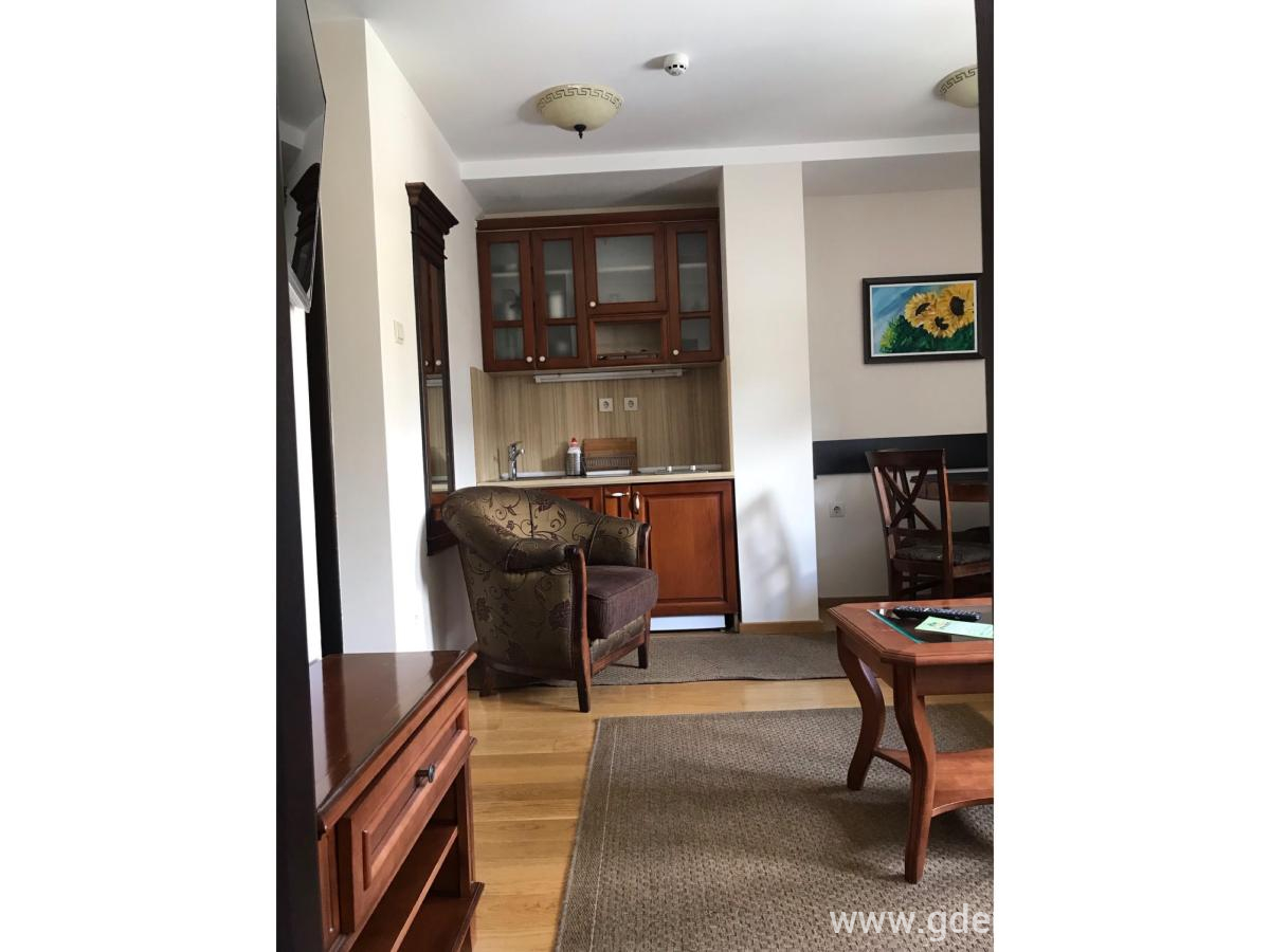 Vila Mećava - Apartman , ενοικιαζόμενα δωμάτια στο μέρος Kopaonik, Σερβία - unnamed (7)