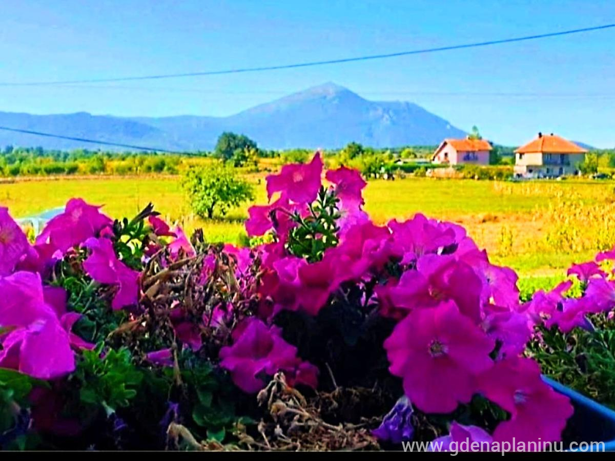 RTANJSKA RUŽA VETROVA, zasebne nastanitve v mestu Rtanj, Serbia - Screenshot_20220926-113139_Pulse~2