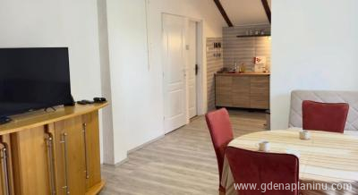 Apartmani Djokic, privatni smeštaj u mestu Vlasinsko jezero, Srbija