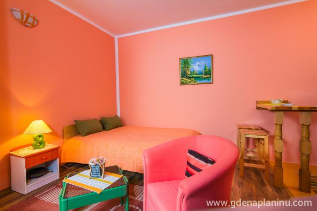 Studio dvokrevetni u Villa Ruža, privatni smeštaj u mestu Zlatibor, Srbija