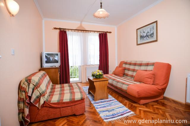 Apartman 1 u Vila Zlata, privatni smeštaj u mestu Zlatibor, Srbija
