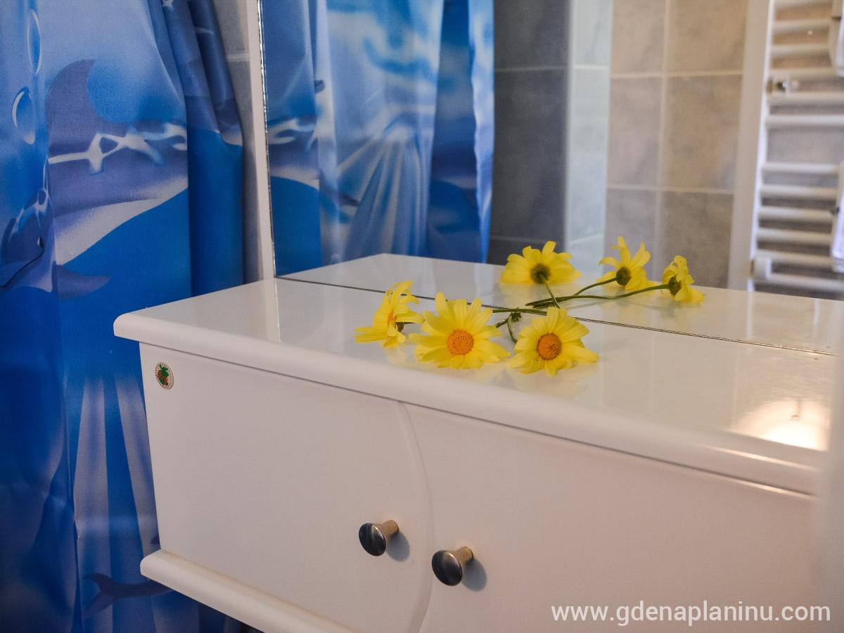 Vila Zlata, 1. apartman, Magán szállás a községben Zlatibor, Szerbia