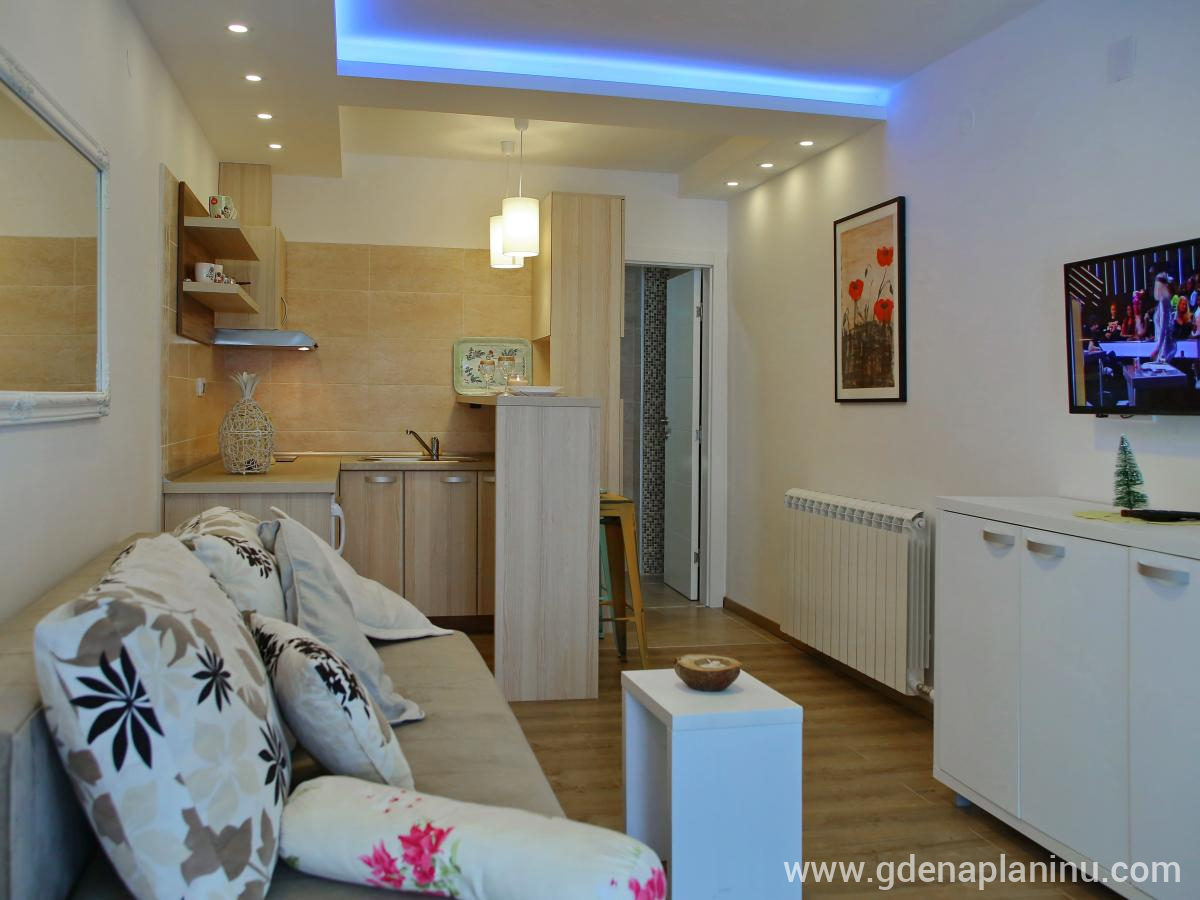 Zlatibor My village, Apartman studio3, privat innkvartering i sted Zlatibor, Serbia -  Studio3